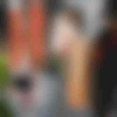 Cinghie di sollevamento e spostamento (2 pezzi) | DUOLIFTERS