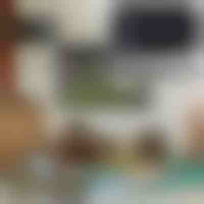 Antenna TV digitale interna | SIGNALSURE