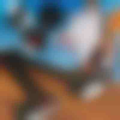 Tracolla regolabile porta sci | SKITREK