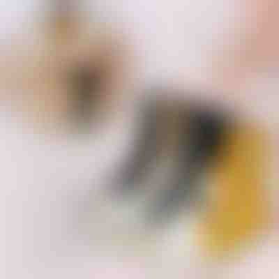 Calzini a zampa di gatto (3 pezzi) | GATOSOCKS