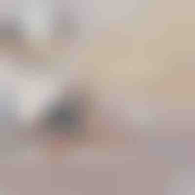 Divano Letto Gonfiabile Convertibile | SOFLINKA