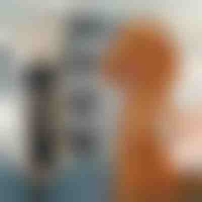 Set di tosatrici per peli di animali domestici | GULAMACHINE