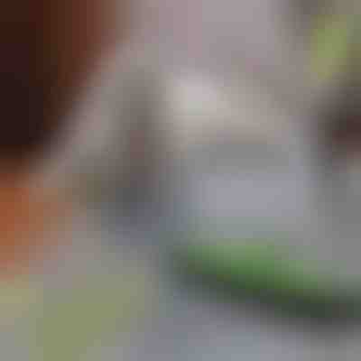 Scopa per la rimozione dei peli di animali domestici | PAWMOP