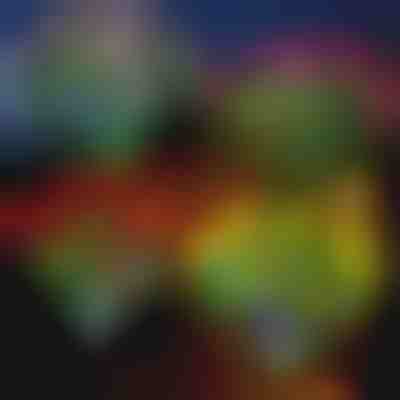 Luci solari a forma di fiori | ROSILUME