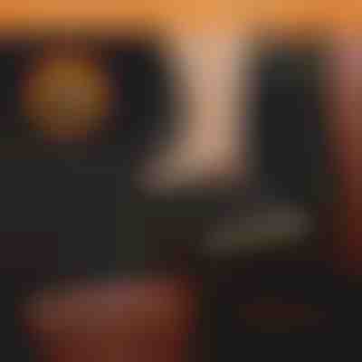 Copertura impermeabile per il sedile posteriore dell'auto per cani | CARIPET